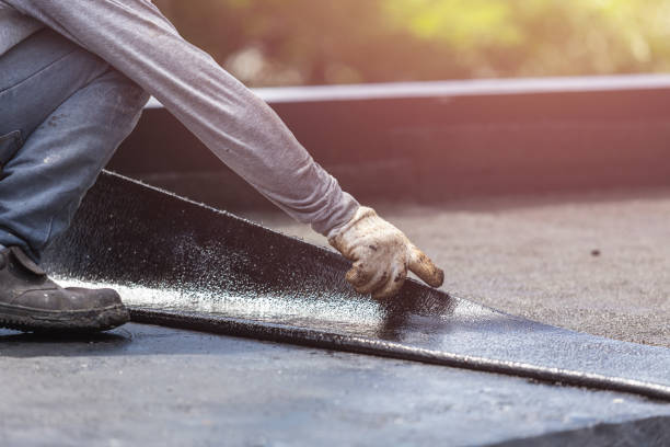 Professional Interior Drainage System technician working in Ray, MI